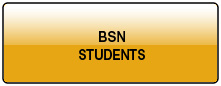 BSN Students Button