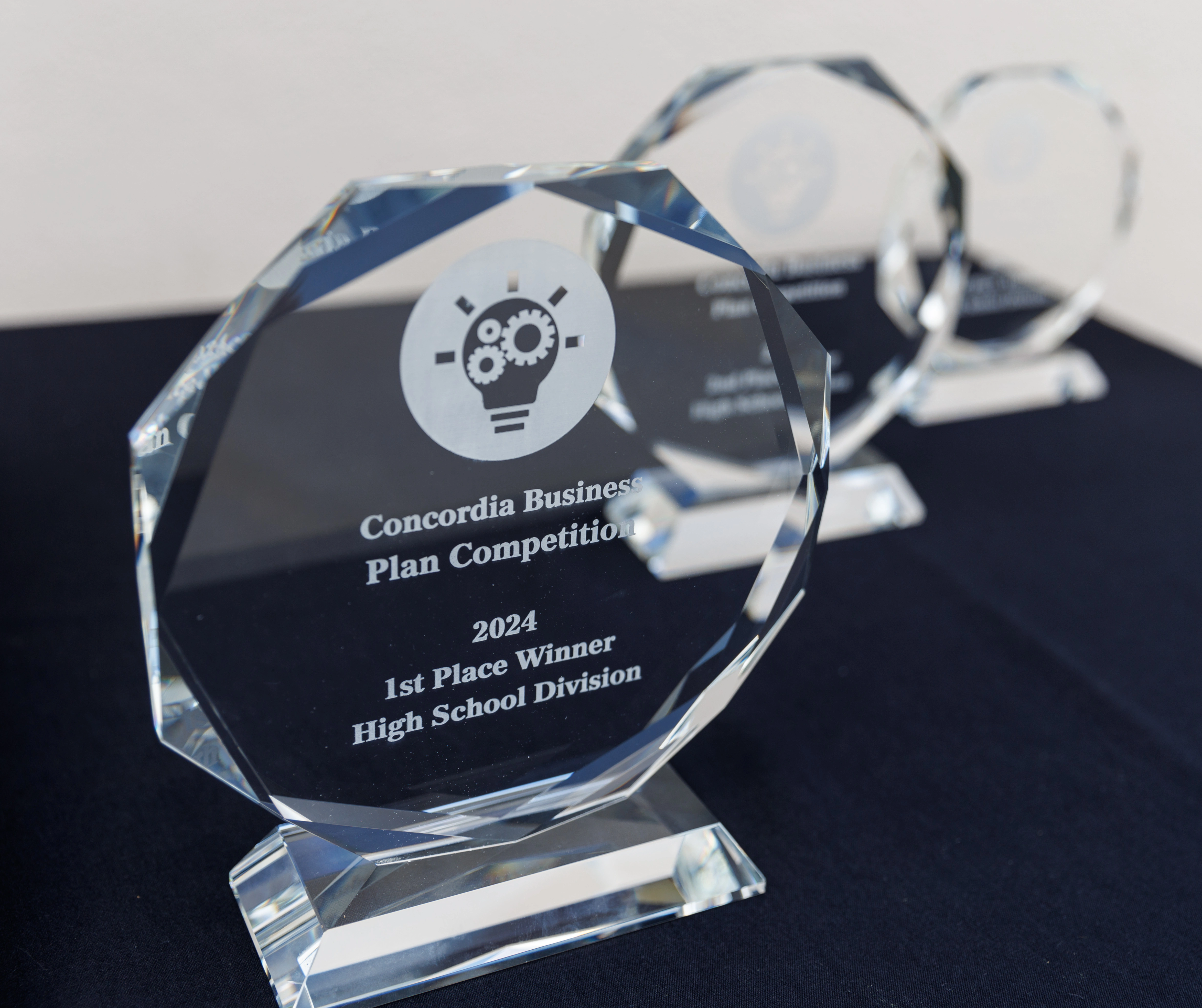 Detailed Image Description