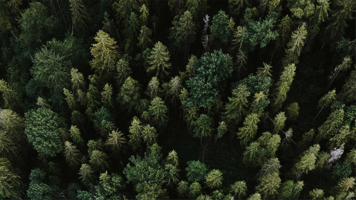 The Songwriter Initiative - Psalm 139 (That You Won&rsquo;t Go) [OFFICIAL VIDEO] - feat. Hope Dunbar