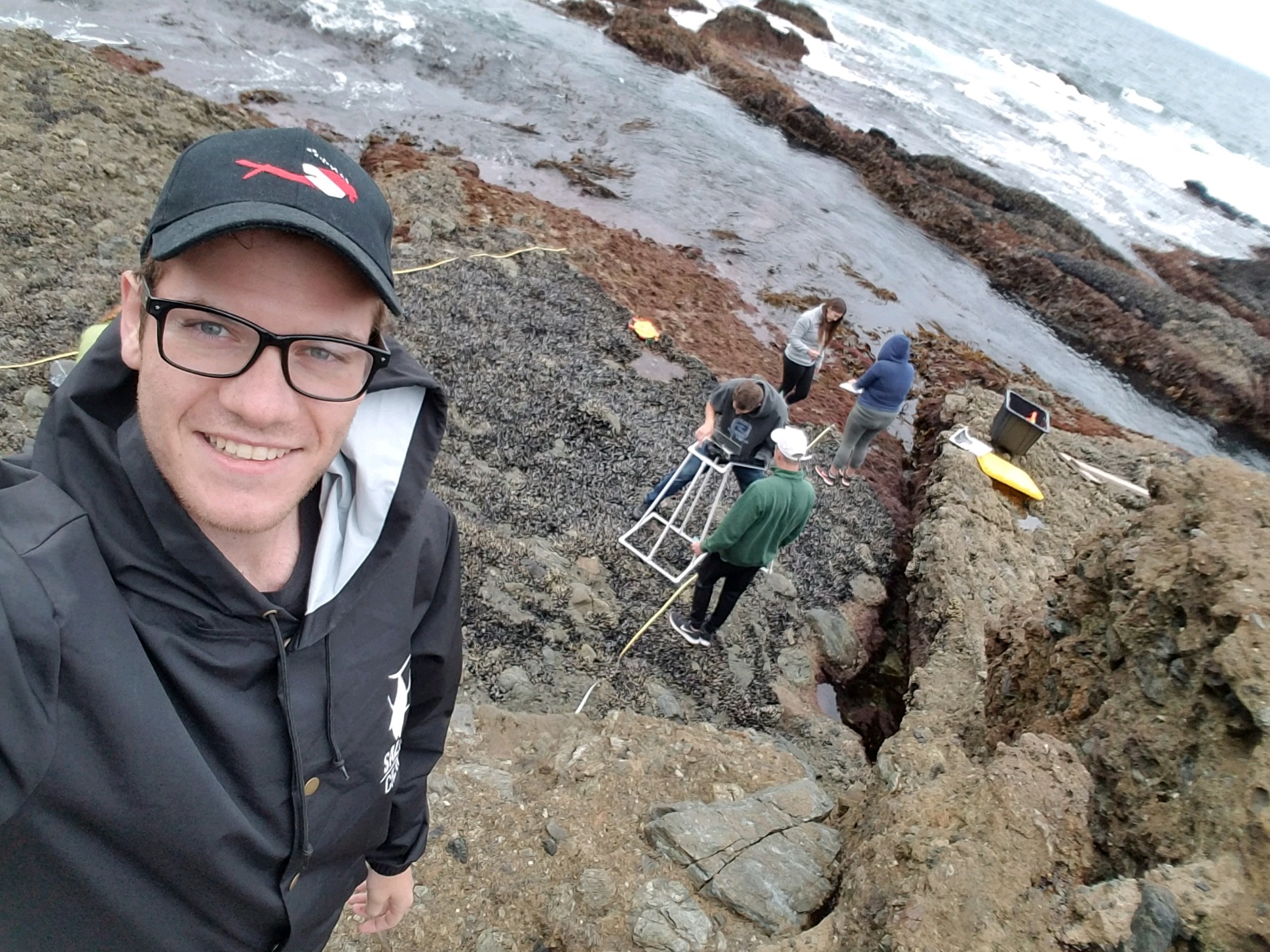 Detailed Image Description