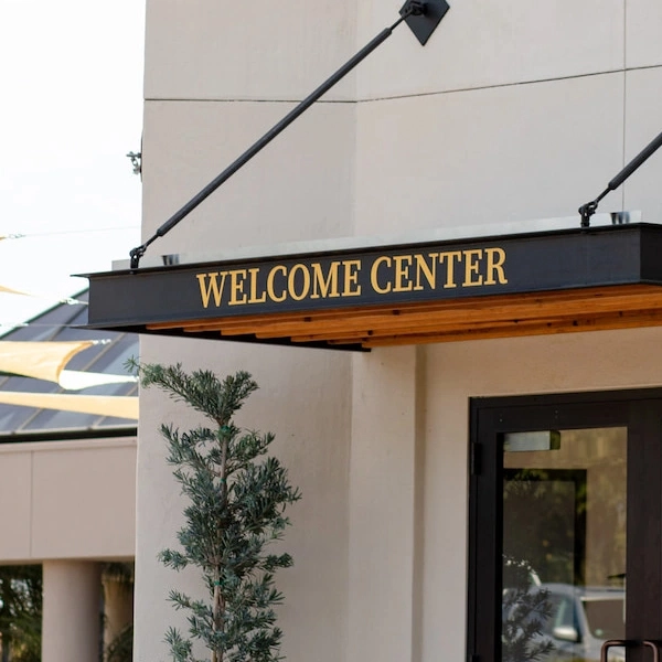 Detailed Image Description