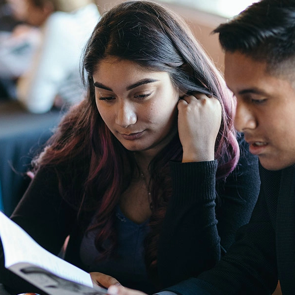 Detailed Image Description