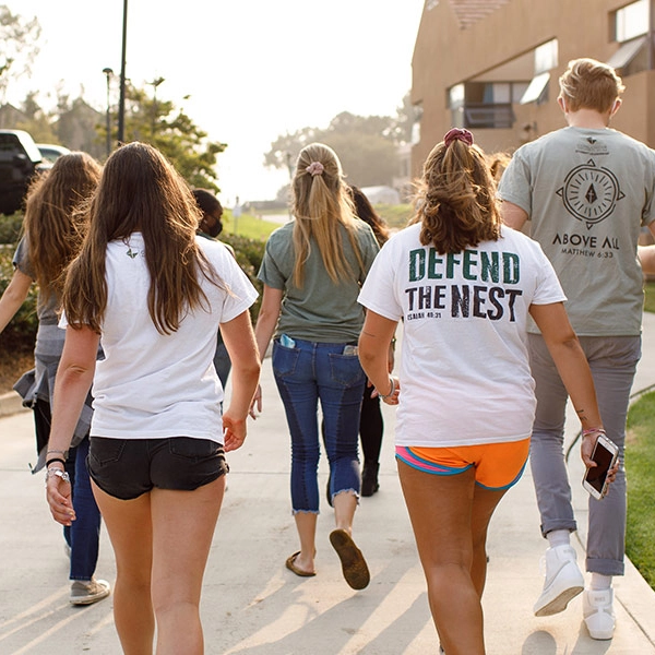 Detailed Image Description