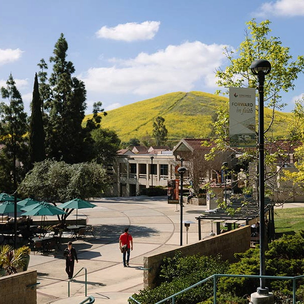 Detailed Image Description