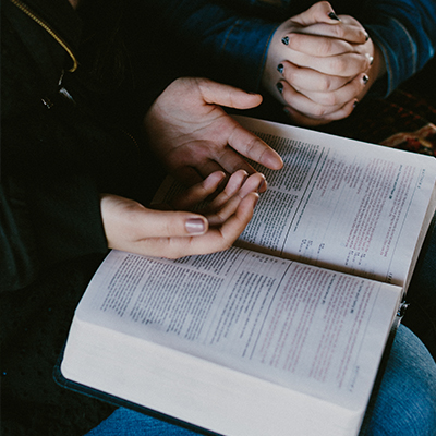 The Bible for Everyone