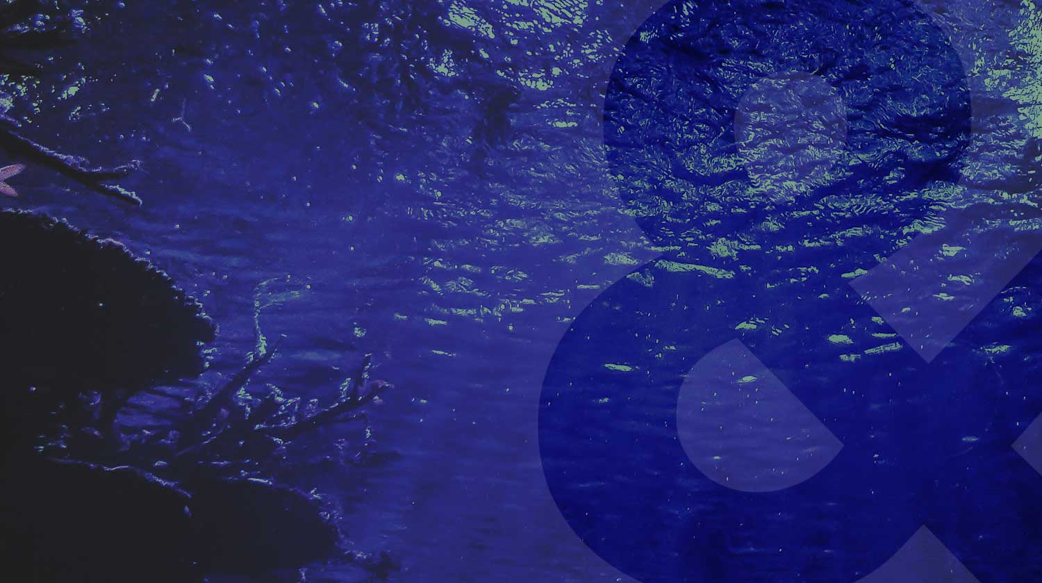 Underwater Ocean Background