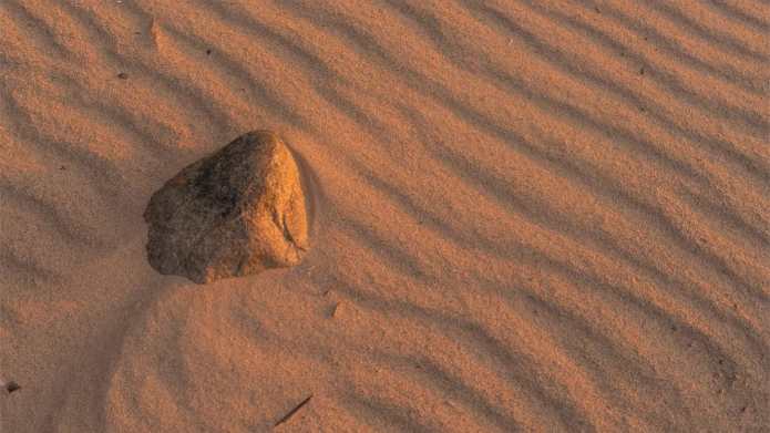 Songwriter Initiative