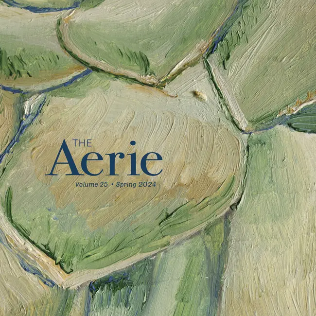 The Aerie 2024 Cover